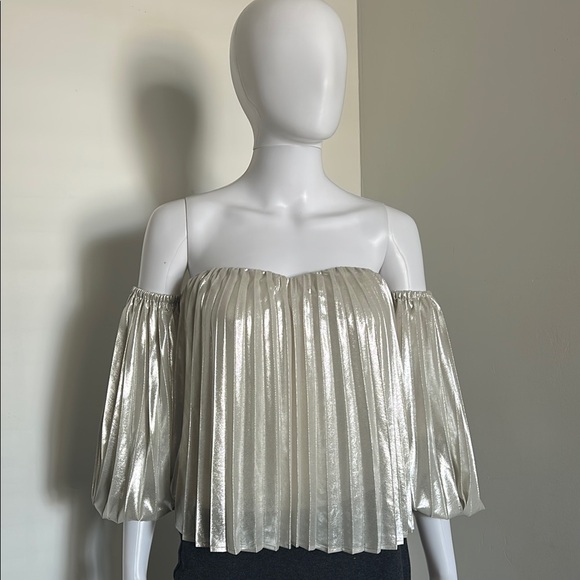 Express Tops - Express, Women’s Size M Metallic Pleated Elegant Off-Shoulder Ballon Top